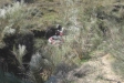 2_altiplano_2009_064