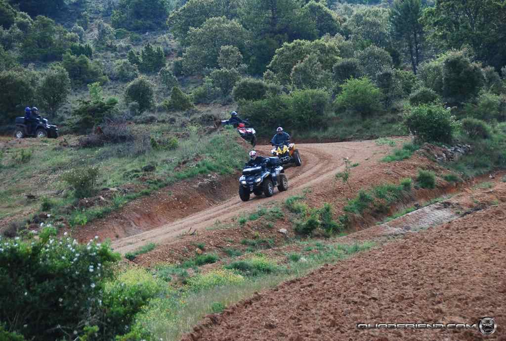 labodera09_044