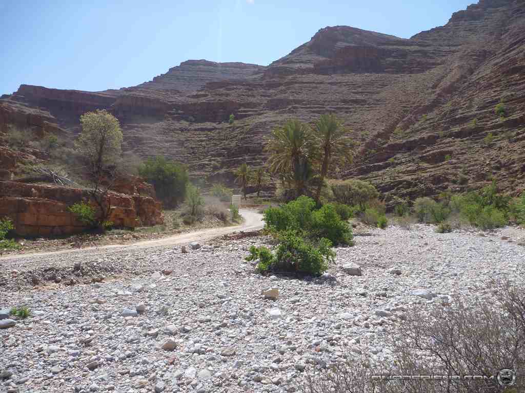 p1010828