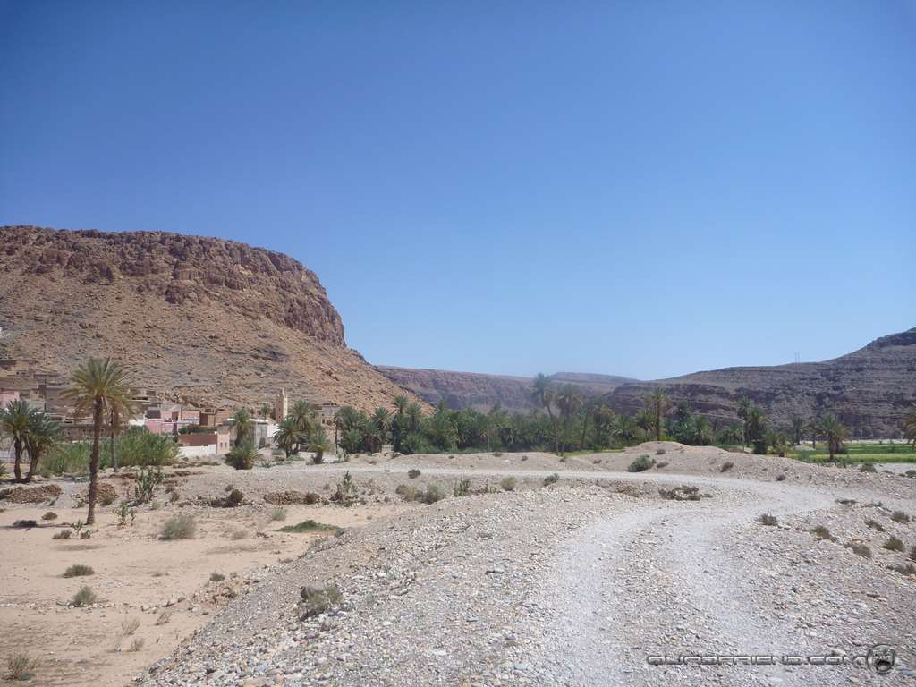 p1010846