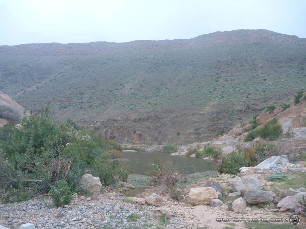 p1010853