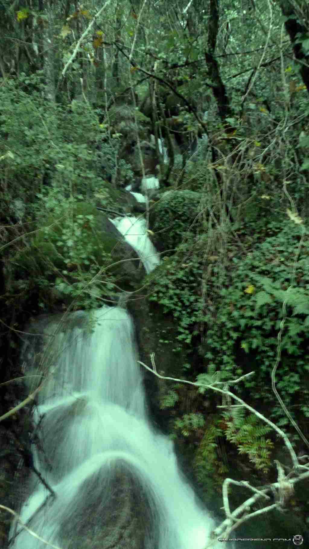 p1060101